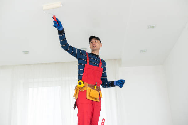 Best Commercial Mold Inspection  in Kouts, IN
