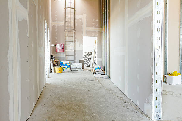 Best Real Estate Mold Inspection  in Kouts, IN